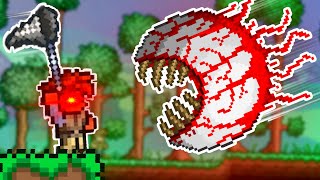 Terraria, But I Can Catch EVERYTHING...