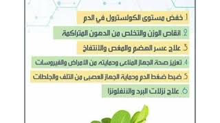 فوائد المستكة ..