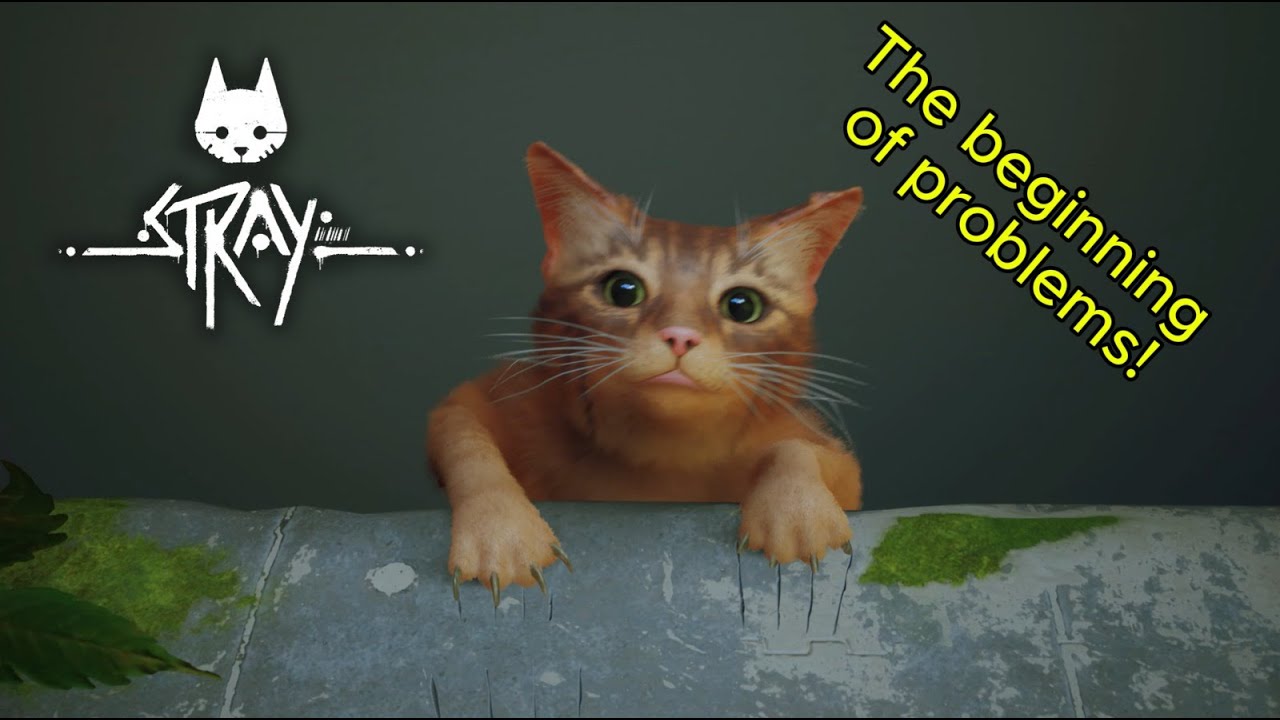 Stray | Inside The Wall 2K 60fps