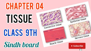 Tissue|Chapter #04 Cells and Tissues|Class 9 Biology lecture|Sindh board