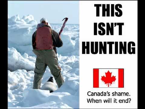 why canada suck All ass girls