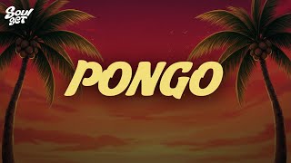 Pongo - Rauw Alejandro, Rvssian, Wizkid (Letra)