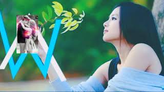 Alan walker -lion heart(new song 2020)