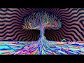 A Kick Ass Trip : Daniel Savage : Morning Glory Seeds