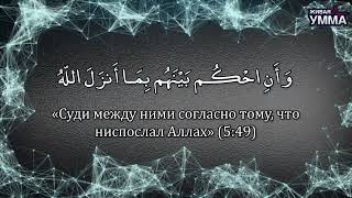 В Рамках Конституции Государства Халифат. Реализация Политических Целей