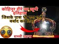 कोहिनूर हीरे की रहस्यमयी कहानी: इतिहास का सबसे खतरनाक रत्न 💎