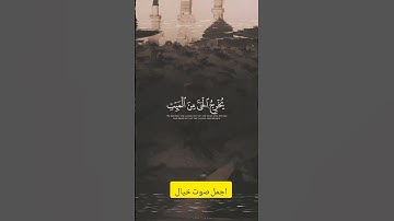 فسبحان الله حين تمسون وحين تصبحون #قرآن #تلاوة_خاشعة #اكسبلور #funny #متابعه #لايك