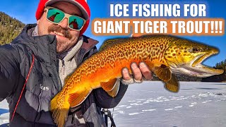 Ice Fishing for Tiger Trout