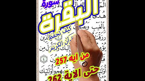 سورة البقرة من الاية 257 الى الاية 262 بخط المصحف الكبير لسهولة الحفظ والمراجعة