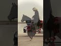 لكزس شموخ يتجاوز الزمن