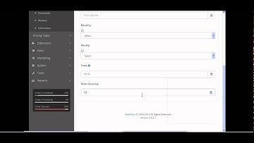 Reset Product Quantity - OpenCart Video Tutorial