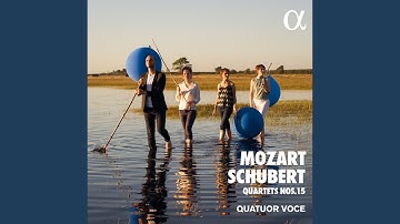 String Quartet No. 15 in D Minor, K. 421/417b: IV. Allegretto ma non troppo