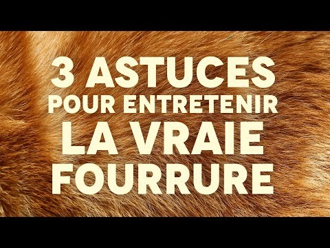 Vidéo: Comment nettoyer la fourrure à la maison ?