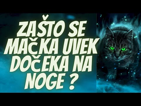 Video: Zašto Su Mačke Tako Izbirljivi?