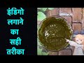 इंडिगो लगाने का सही तरीका | The Right way to use Indigo dye with Henna