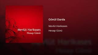 Mevlüt Harikases: Medine Gelir Aklıma Resimi