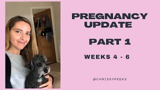 Pregnancy Update Weeks 4 - 6 | HCG Levels | Sickness | Bleeding | Two Week Wait |  IVF | UK |