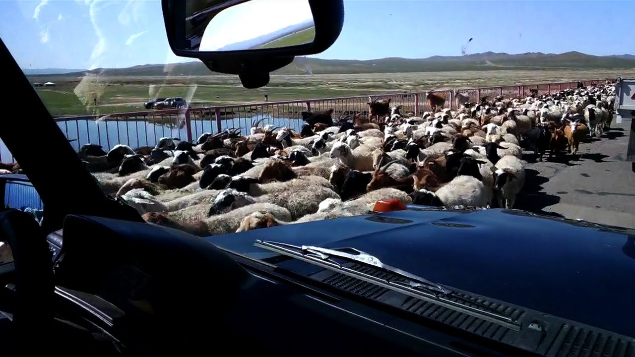 Google Glass in the Gobi: Road Trip