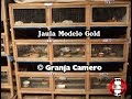 Jaula de 3 pisos Modelo Gold Para Cuyes Reproductores y Engorde