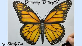 Drawing Butterfly with Colored Pencils (by Shierly Lin)