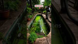 Abandoned Pool Restored in 60 Seconds!
