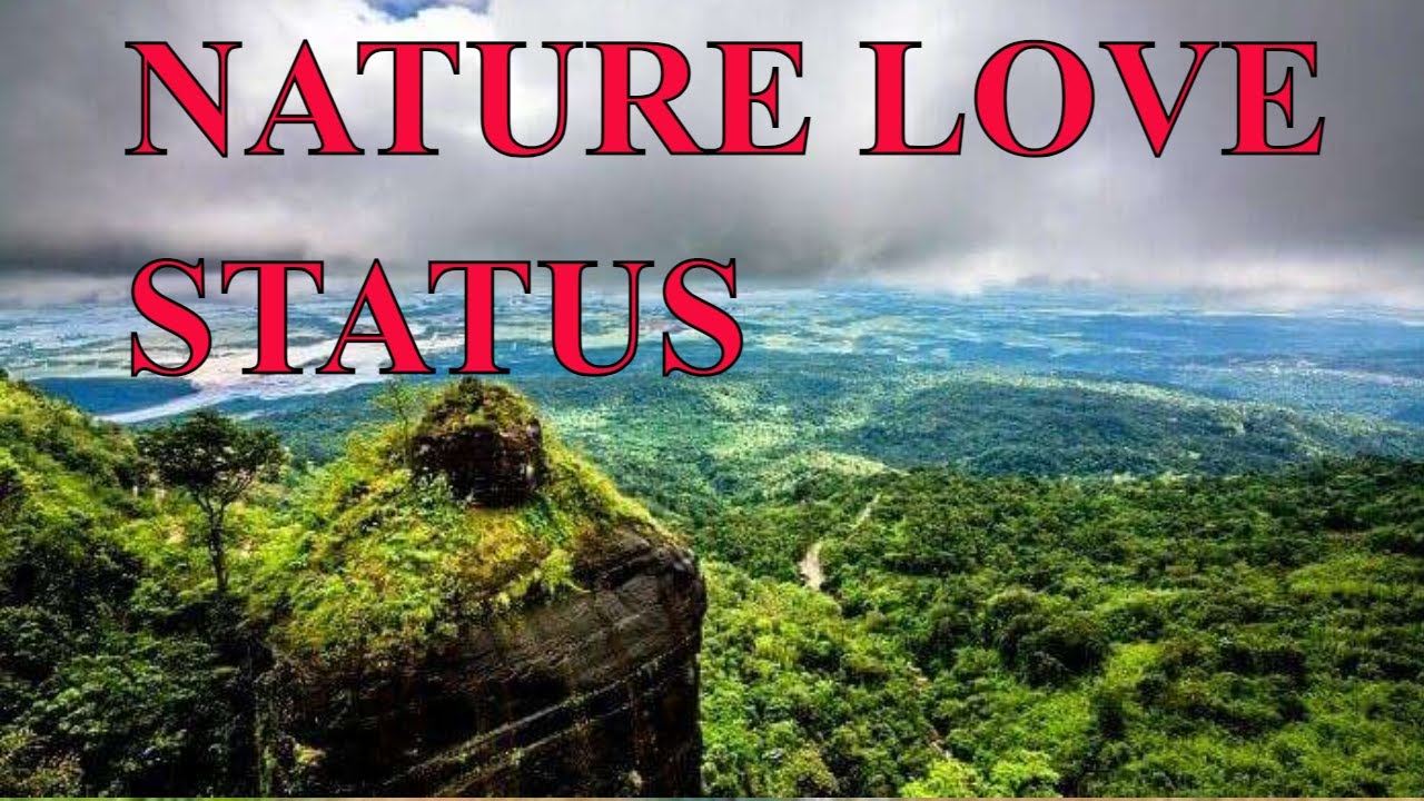 Best song nature whatsapp status♥️♥️🔥 NEW Nature WhatsApp status