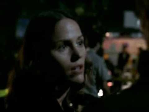 CSI Guest Stars and Cameos You May Not Remember