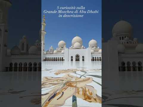 Video: Nella città dello sceicco zayed?