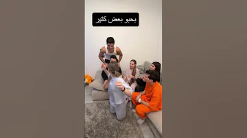 انس الشايب يضرب لانا محمد ولين وصراخ سيدرا بيوتي 