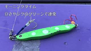 2024年2月東京湾太刀魚ジギング