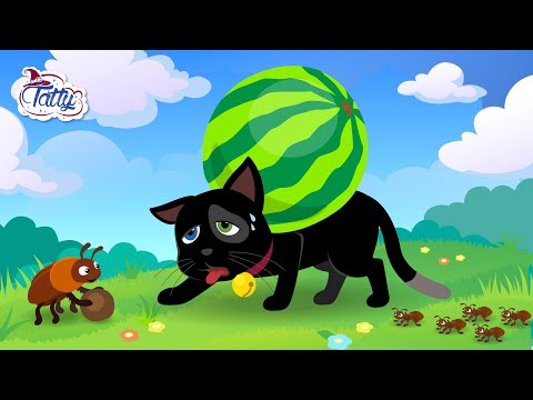 Татті та Місіфу і гігантський кавун🍉 Веселий день з маленькими чарівниками! Мультик для дітей