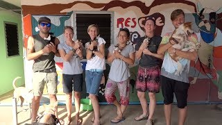 Rescue Paws Thailand