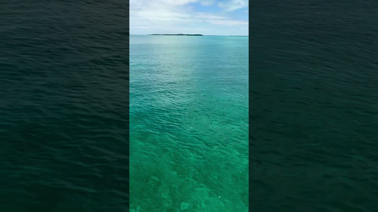 We Forgot Sailing Could Feel This Smooth… Bahamas Magic 🌊☀️ #familyadventure