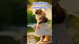 С Добрым Утром!  #пожелания #позитив #кошки