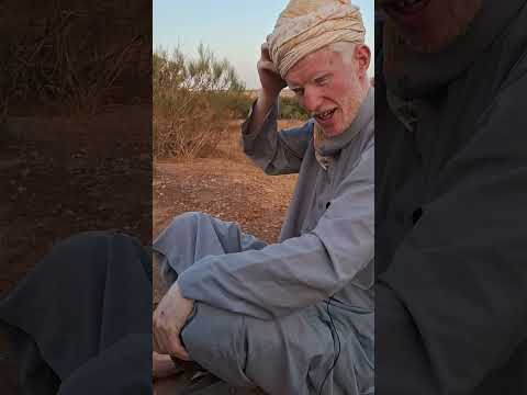 يوميات المقران ونسيبو