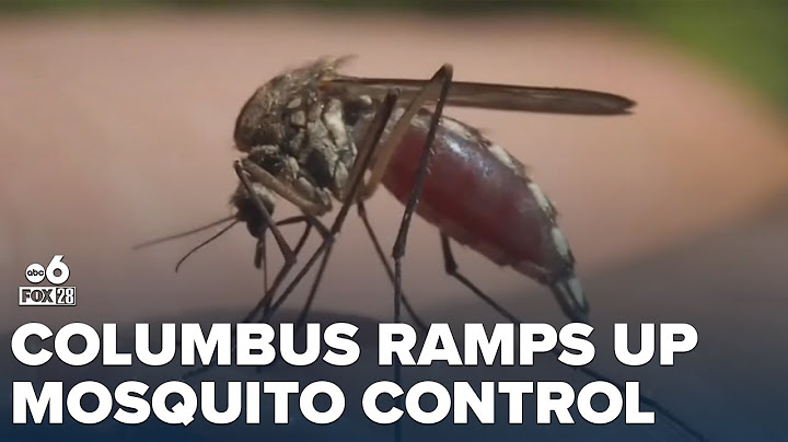 Columbus steps up mosquito trapping to fight West Nile