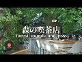 環境音+JAZZ やさしい森の喫茶店 森の中でリラックス 川のせせらぎ 鳥のさえずり CAFE JAZZ - 作業用BGM