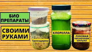 Как сделать биопрепараты своими руками- Триходерма, Хлорелла, Луковый настой #1