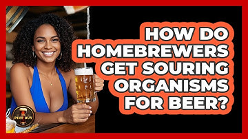 How Do Homebrewers Get Souring Organisms For Beer? - The Pint Guy