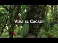 Zotter: Cocoa movie Nicaragua - "Viva el Cacao" (31 Min. English)