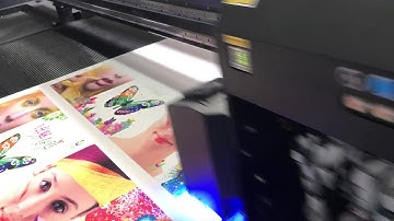 2m Xenons Hybrid printer