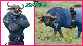 ZOOTOPIA In Real Life 💥 Animal Version 👉@TupViral