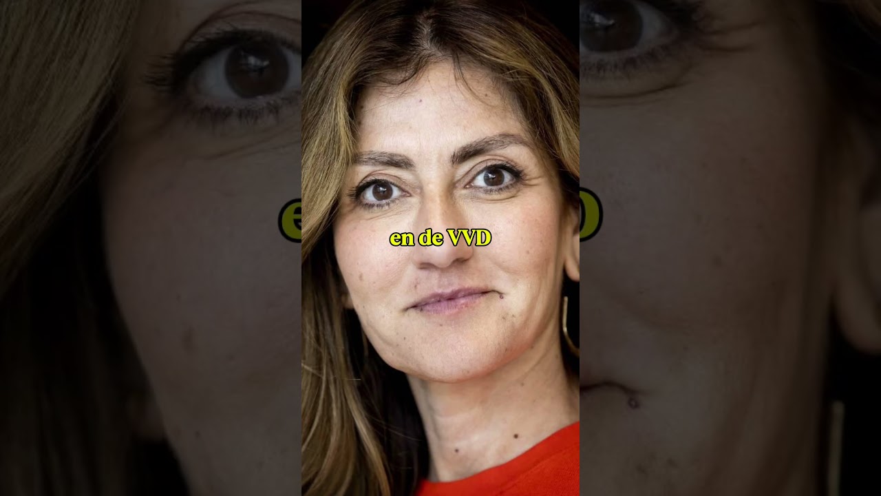 Thumbnail 😱 Elk jaar komt er door immigratie een stad ter grootte van Eindhoven bij!