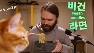 ASMR Korean vegan noodles mukbang + my cat (Cooking & Eating sounds)