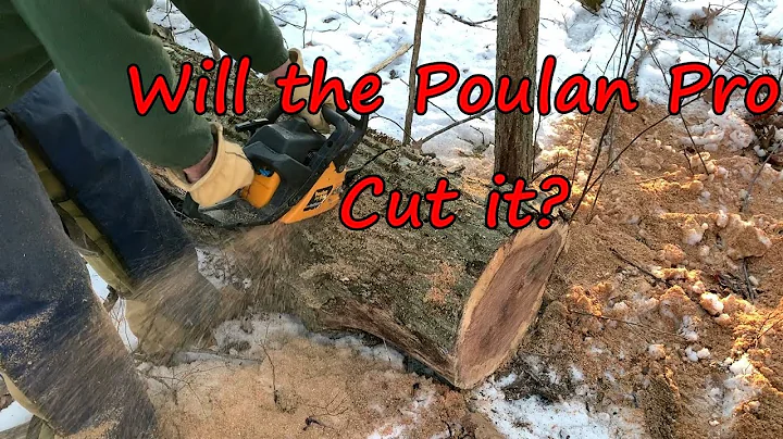 Will the Poulan Pro 260 cut it against a McCulloch Titan 50, McCulloch Timberbear and Homelite 330?