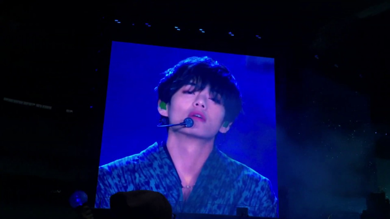 190607 BTS ( 방탄소년단 ) TAEHYUNG V — SINGULARITY @ Speak Yourself Stade de France Paris (LYRICS IN CC)