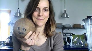 Raw Coconut Milk, Tina's Raw Alkaline Diet