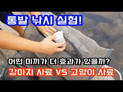 통발 낚시 실험! / 강아지사료 vs 고양이사료