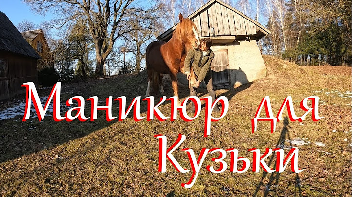 Почти конный блог.) Жизнь на Лесном Хуторе.