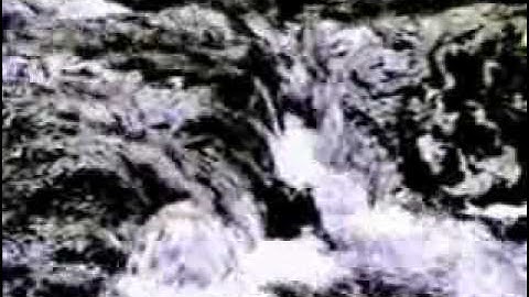 Victor Schauberger 1.wmv